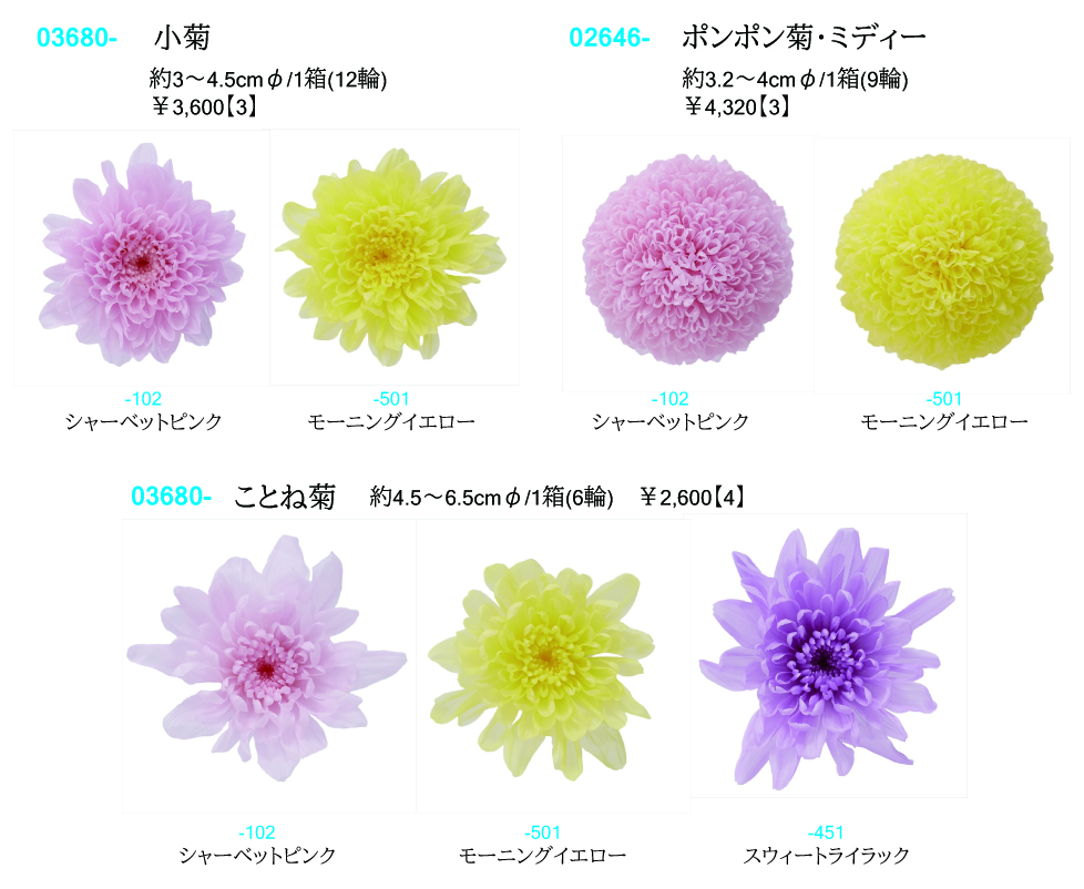 菊類 新色 | 株式会社大地農園