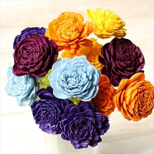 ソーラーローズ・小 | 株式会社大地農園 