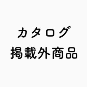 カタログ掲載外商品