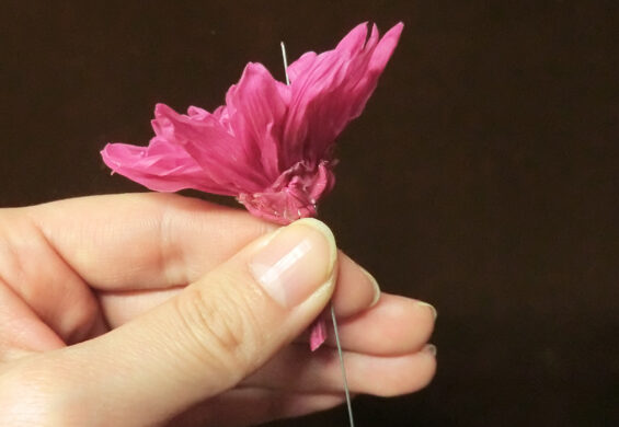 ことね菊、小菊　ワイヤリング方法