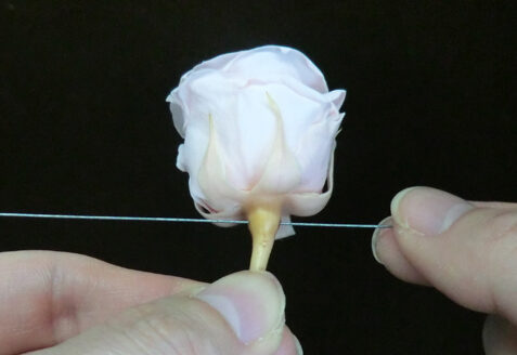 花材のおすすめワイヤリング方法