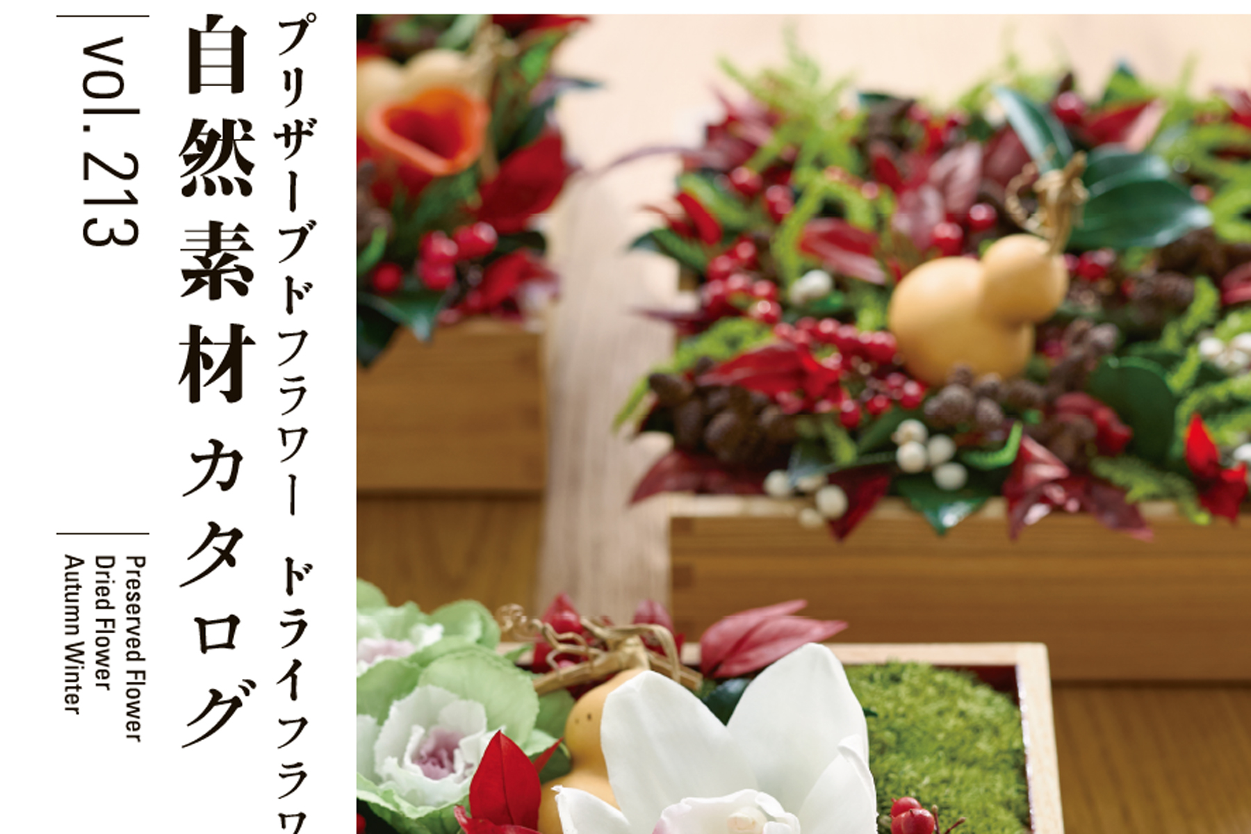 Vol.213 2025-2026 秋冬カタログ発刊のご案内
