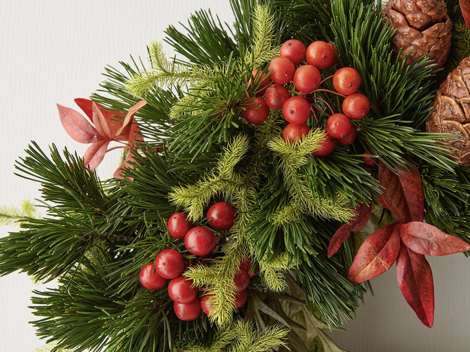 〝五葉松・サイズアソート〟入荷のご案内