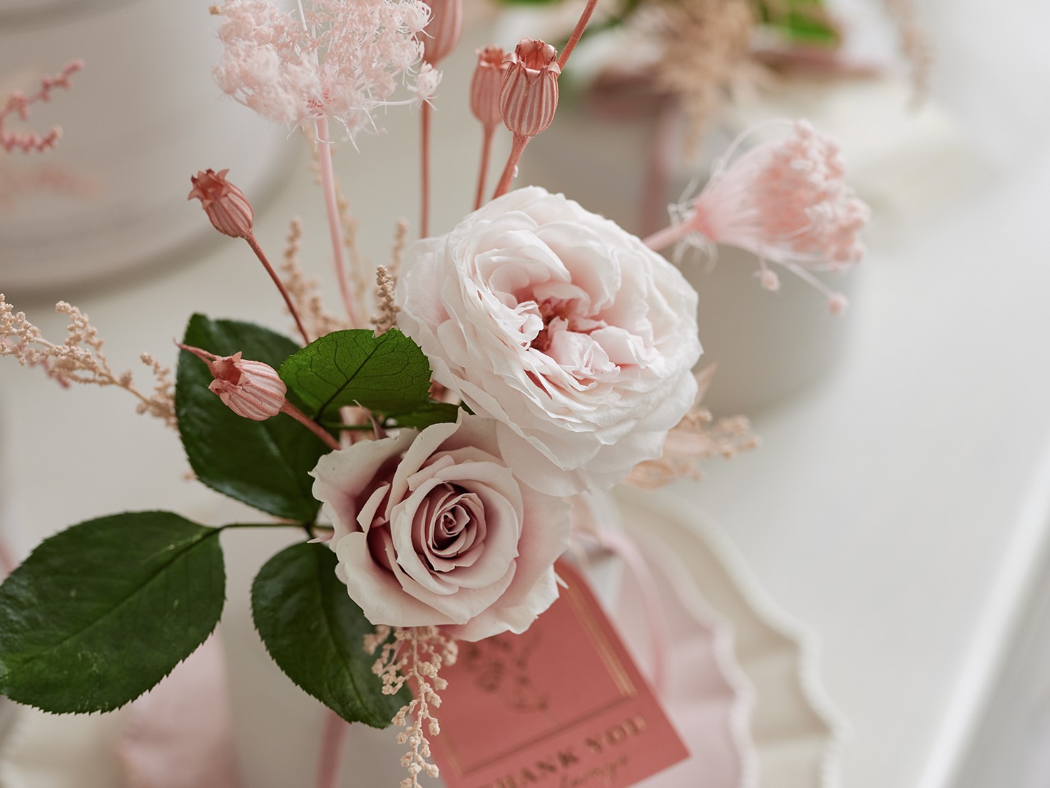 欠品商品入荷のご案内・デザインステムＭ