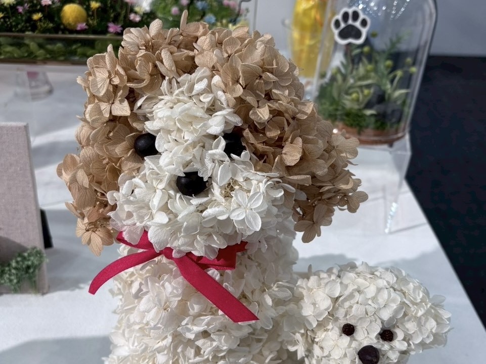 2026新商品発表会にご来場頂きありがとうございました