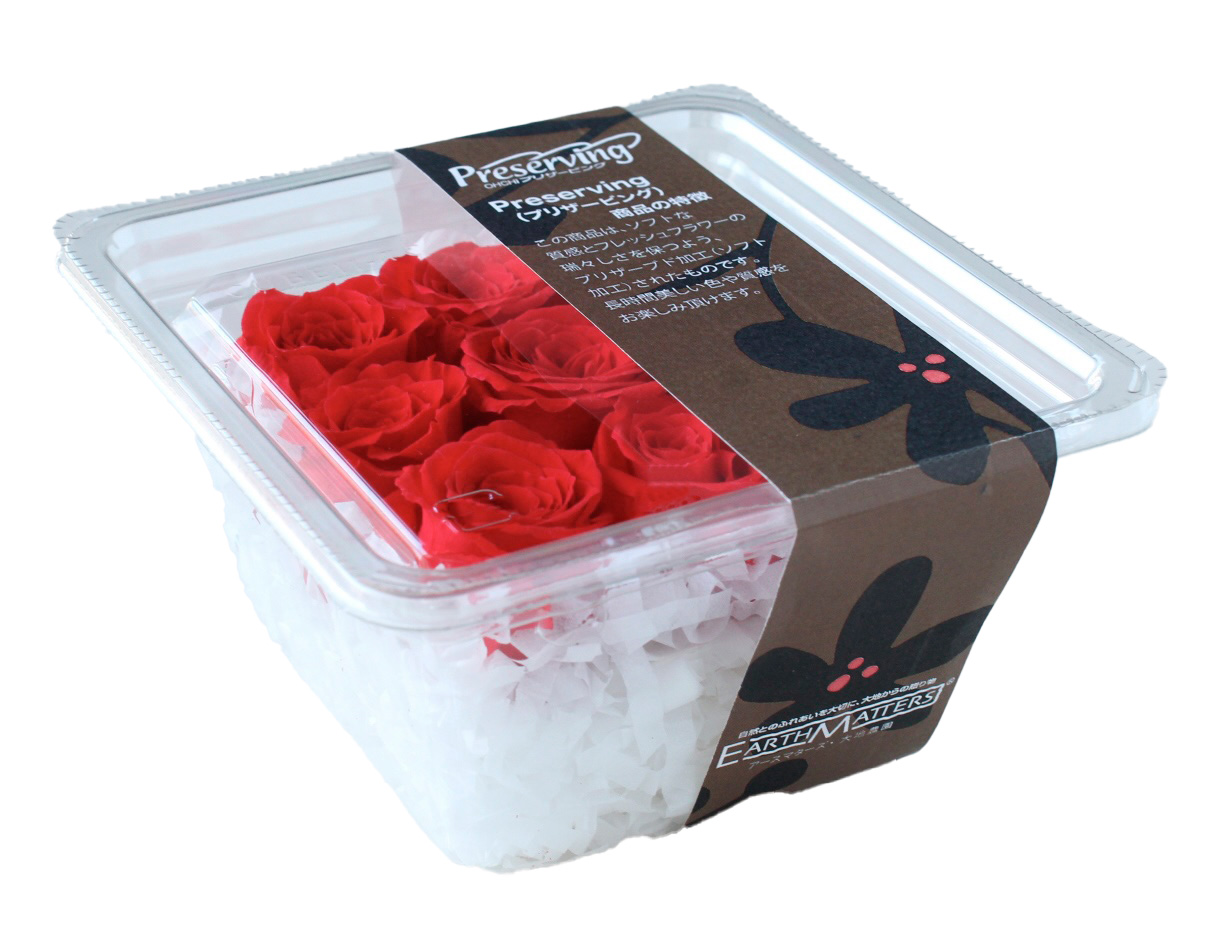 最新のお知らせ一覧 | 株式会社大地農園