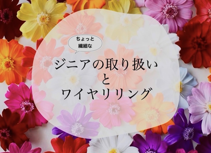 ジニアのお取り扱いとワイヤリング