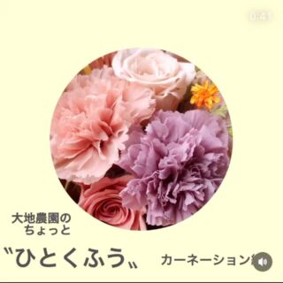 プリザーブドフラワー&ドライフラワー｜株式会社大地農園